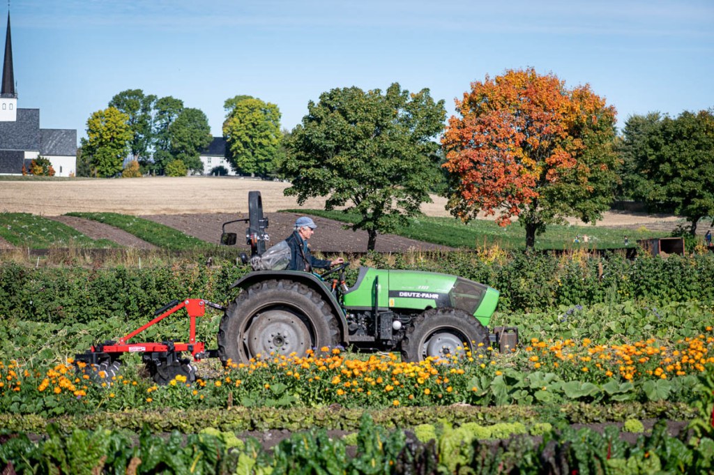 Biodynamic Farming at Alm Ostre